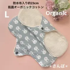 Item thumbnail for item 7d17afd6-58af-433a-887a-765a0a98f3ab