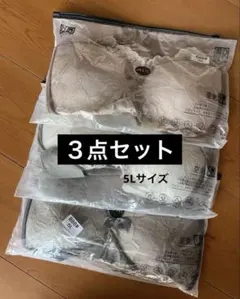 Item thumbnail for item ce4449d5-38fa-422d-b885-b7e3224e86bf