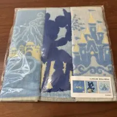 ●ディズニー バケーションパッケージ ミニタオル セット