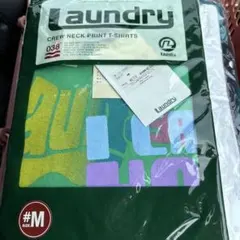 Item thumbnail for item 6e458e4b-0173-45a4-a6ec-cfcbb9b87031