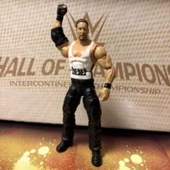 WWE マテル スコットノートン カスタムフィギュア - メルカリ