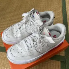 ナイキ　スニーカー　NIKE AIR FORCE 1 FONTANKA