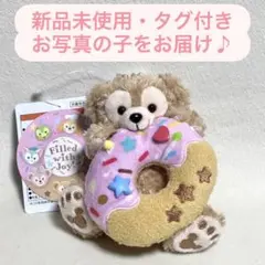 東京ディズニーシー　フィルドウィズジョイ　ダッフィー ぬいぐるみバッジ