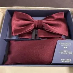 超美品　ボウタイセット　ワインレッド