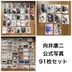 2026年最新】向井康二 公式写真の人気アイテム - メルカリ