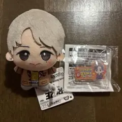 2026年最新】riize ウォンビン ぬいぐるみの人気アイテム - メルカリ