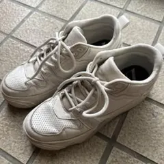 Item thumbnail for item 1aa49010-d2e2-4547-b6b0-d4a1c6d2f3bd