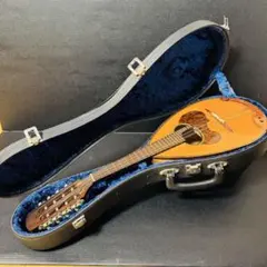 Epiphone MM-30 AS マンドリン ケース付 - メルカリ