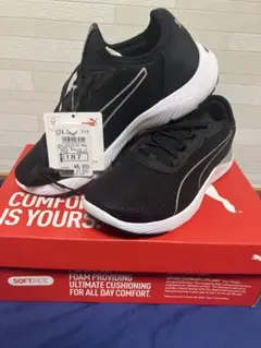 Item thumbnail for item 7d86c87a-d55e-4a4d-b6c4-d01da94606e9