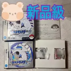 ポケットモンスター　ソウルシルバー　NintendoDS ソフト　ポケウォーカー