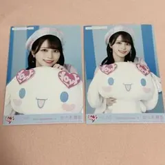 イコラブ シナモロールコラボ2025 生写真 未開封5セット 商品詳細ページ | =LOVE OFFICIAL SHOP | 生写真セット