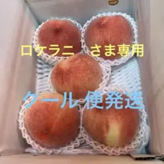 山梨の木のてっぺん桃 超特大を5個詰めて発送 人気商品 かなり甘くて