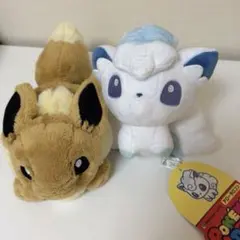 ポケモンドール イーブイ アローラロコン　公式