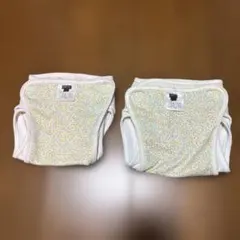 Item thumbnail for item 8daaf9c8-8d94-40b5-9c79-d0694f81c037