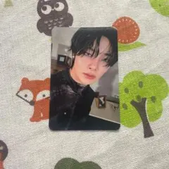 Stray Kids トレカ アイエン Doit SKZOO SPEAKER