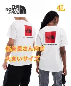 ⭐️まとめ売り確認用ページ⭐️ノースフェイス⭐️レッドボックスロゴTシャツ　クロプド丈