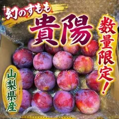 スシ　すもも がらり　傷あり 農薬不使用 10kg スシ様専用 すもも がらり傷あり 農薬不使用 10kg - メルカリ