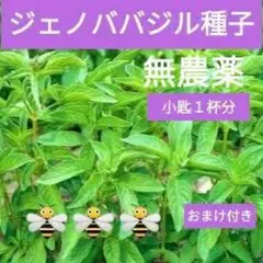 Katanbo Girl様 リクエスト 2点 まとめ商品