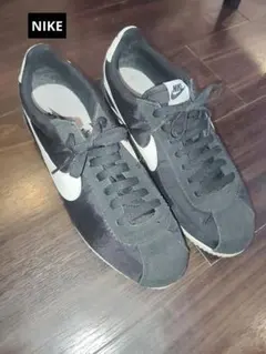 Item thumbnail for item 82947ce3-5a5e-4cb1-ae0c-039495d759e7