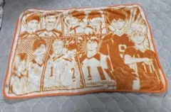 Item thumbnail for item 2d658d04-7d22-41fc-9c4a-58805f879289