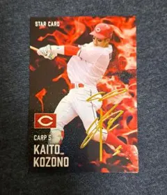 ⭐️本人写真⭐️広島カープ矢野雅哉小園海斗直筆サイン色紙セット2025沖縄キャンプ ⭐️本人写真⭐️広島カープ矢野雅哉小園海斗直筆サイン色紙