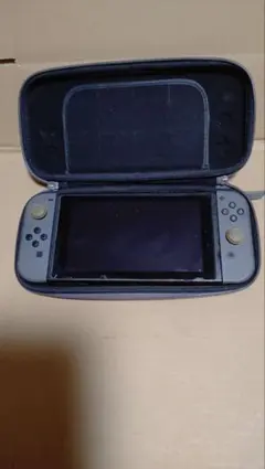 Nintendo Switch 本体 グレー ケース付き