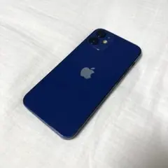 hatanakaruid様専用