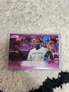 Topps Stadium Club Franmil Reyes 75枚
