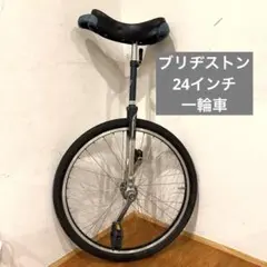 Nimbus Unicycles ニンバス 一輪車 競技用 Nimbus Unicycles ニンバス 一輪車 競技用 - メルカリ