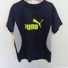 Item thumbnail for item 38f7700b-59c9-44fd-9143-3bb02ab9bd4a