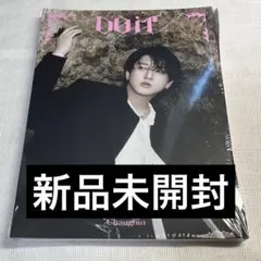 straykids doit アコーディオンver チャンビン 新品未開封