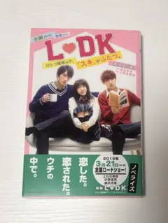 映画 LDK ひとつ屋根の下、「スキ」がふたつ。 小説