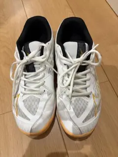 Item thumbnail for item 006b4c21-76e4-4633-8a34-e9a98342d88e