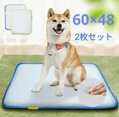 Item thumbnail for item 7211bfd5-6d62-4f65-aa4c-937d984b66b2