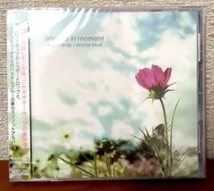 eternity in moment sugardrop pastel blue