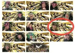 阪神タイガース とらほー シークレット フェイスタオル 岩崎優ver.