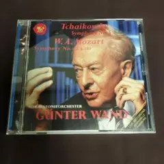 帯付 アーノンクール ニューイヤーコンサート2001 ウィーンフィル 2CD