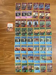 ダイナソーカード49枚　恐竜　マクドナルド