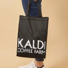 KALDI 保冷バッグ 黒 約W350×H375×D150mm