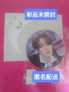 スキズ　リノ リービット　うちわ＆うちわカバーセット　leebit