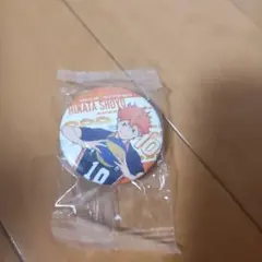 【くら寿司】日向翔陽 缶バッジ 直径5cm 未使用