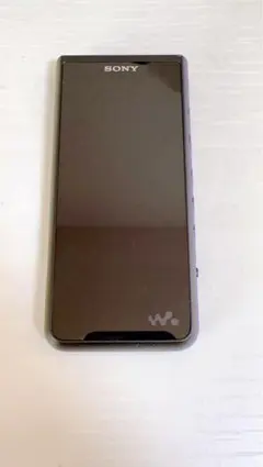 2026年最新】nw-zx507の人気アイテム - メルカリ