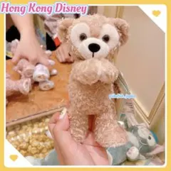【☆正規品】ダッフィー　ポーズ/着替え可能　ミニぬいぐるみ　香港ディズニー
