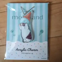 【5/6まで！】【新品未使用品】mofusand アクリルチャーム