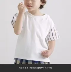 プティマイン　Tシャツお揃い100 120
