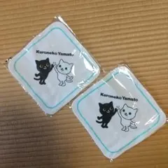 Item thumbnail for item d7d70ca6-a23a-43d9-b329-715455b6c924