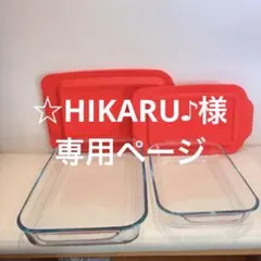 ☆HIKARU♪様専用ページ 激レア　PYLEX パイレックス　特大　耐熱ガラス