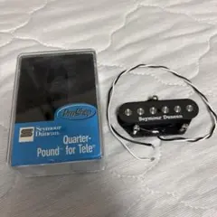 2025年最新】ダンカン テレキャスターの人気アイテム - メルカリ