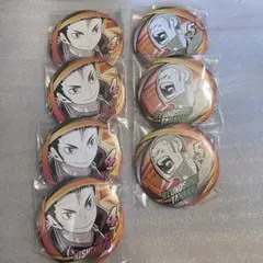 ハイキュー!! 西谷夕 田中龍之介 コレクション缶バッジ FUN ファンパーク