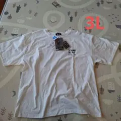本日限定‼️ドロヘドロ 半袖 Tシャツ アクリルキーホルダー付 白 3L